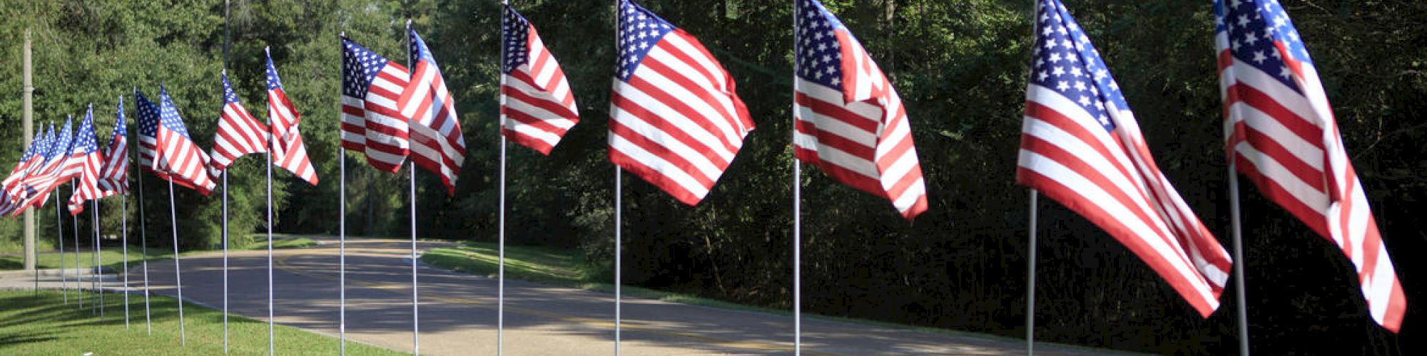A row of American flags lines a sidewalk on a sunny day, with trees in the background.